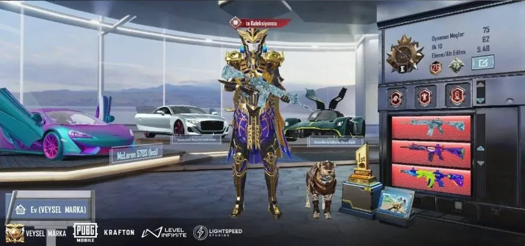 Satılık Pubg Mobile Hesap